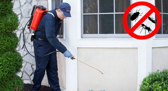 Kofçaz Bit İlaçlama böcek ilaçlama ve haşere kontrolü — ilaclama-tr.com